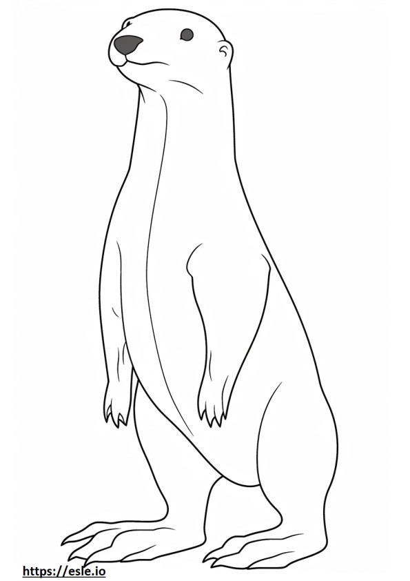 Corpo inteiro de lontra de rio para colorir