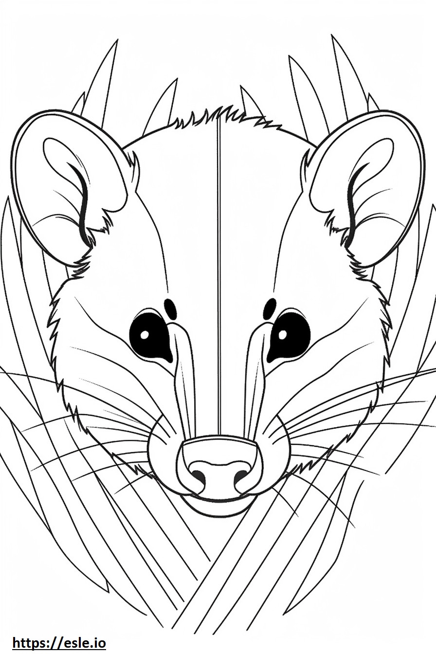 Masked Palm Civet face coloring page