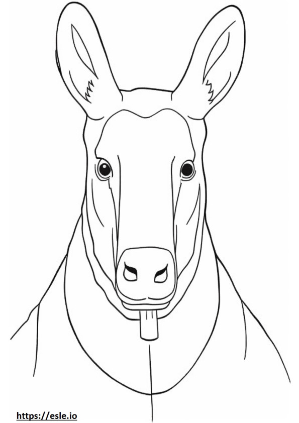 Chamois face coloring page