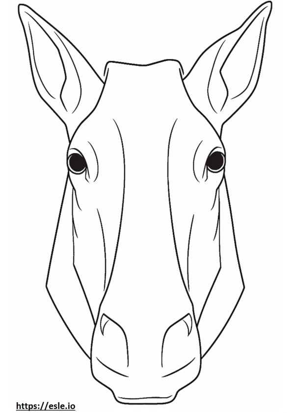 Chamois face coloring page
