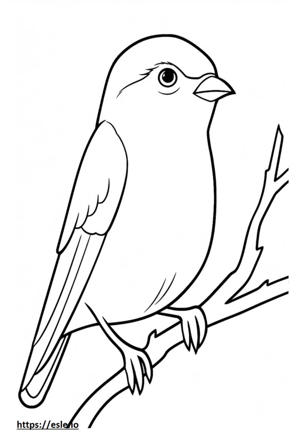 Willow Warbler face coloring page