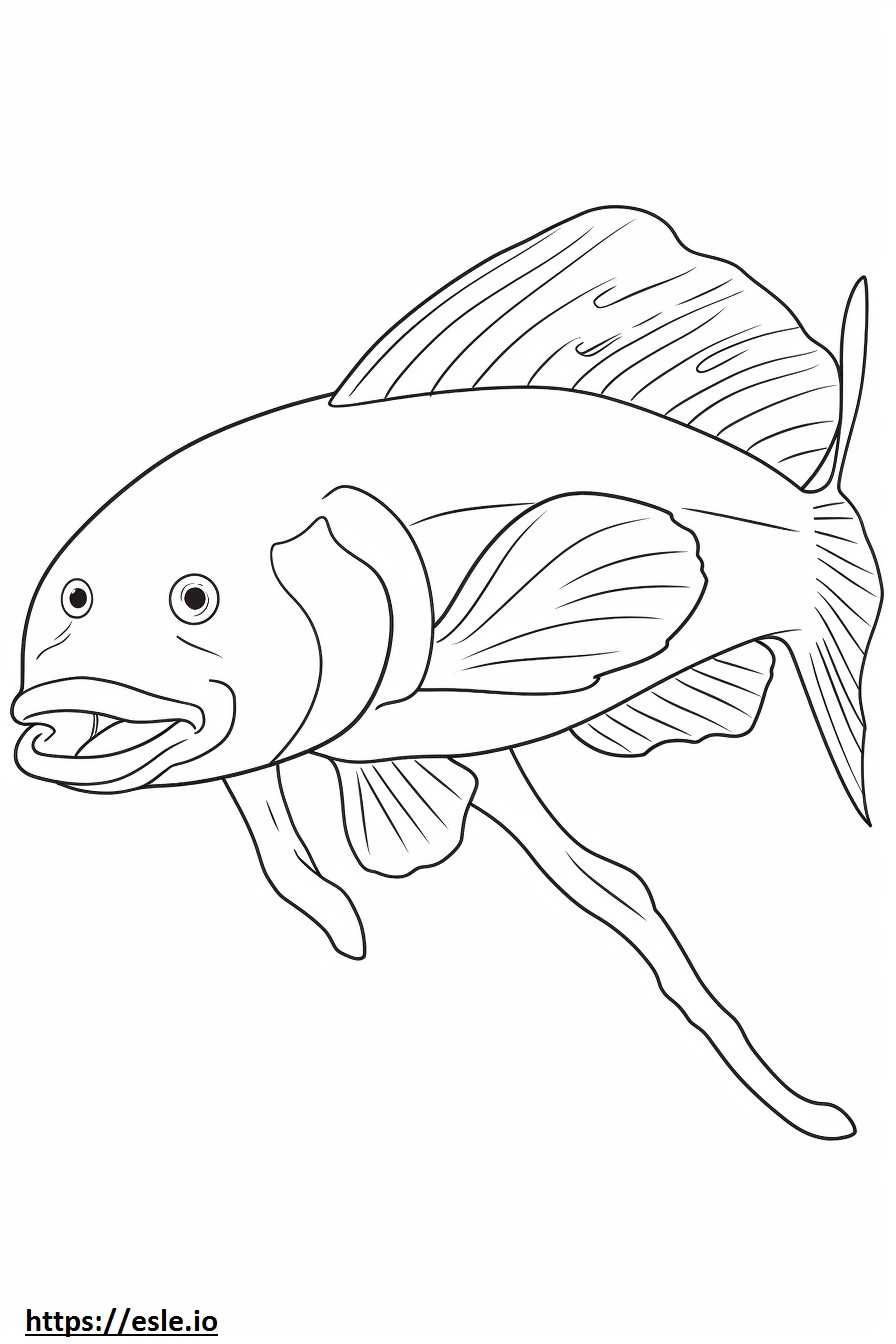 Bowfin cute coloring page