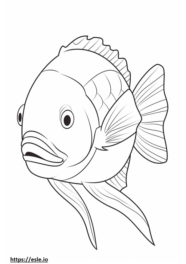 Bluegill cute coloring page