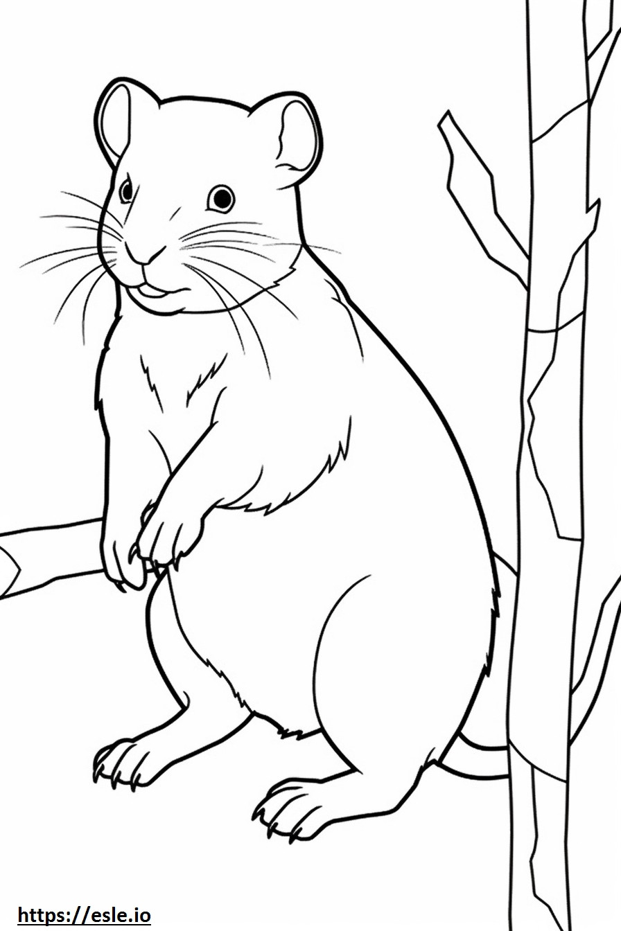 Vole cute coloring page