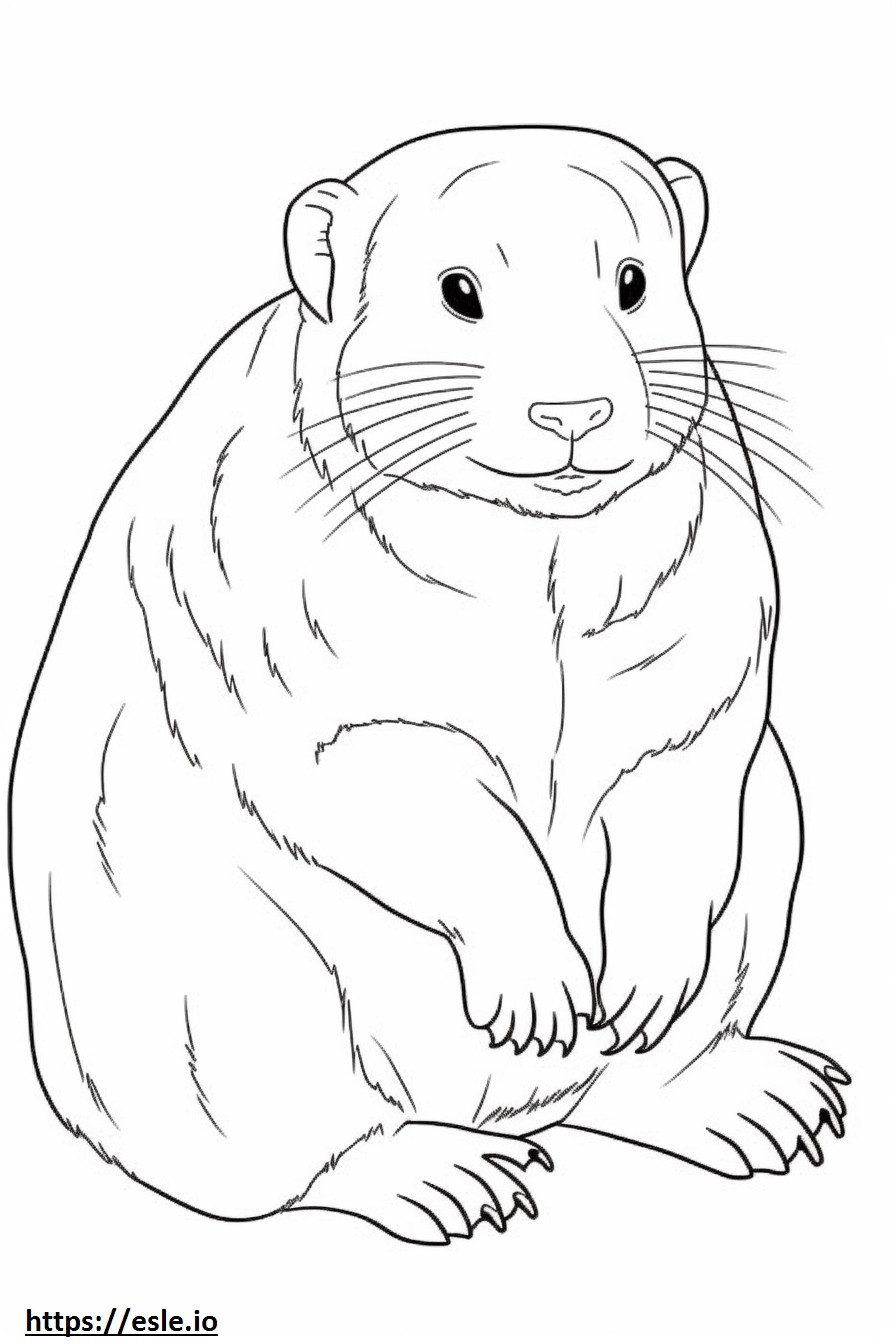 Vole cute coloring page
