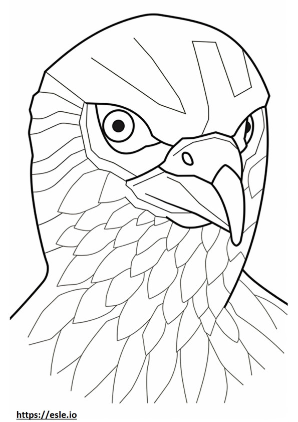 Mississippi Kite face coloring page