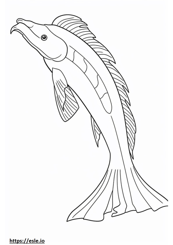Redtail Catfish full body coloring page