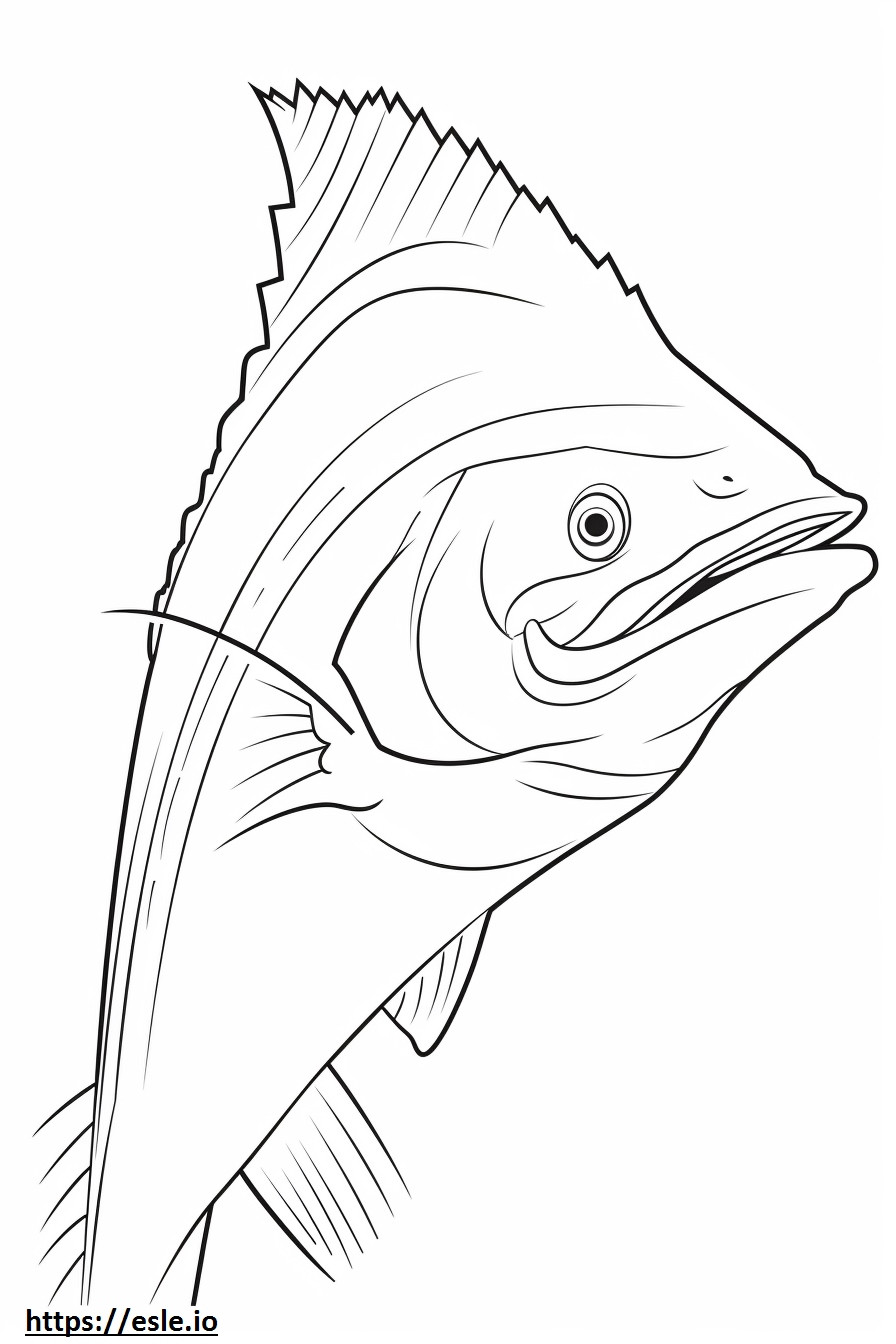 King Mackerel face coloring page