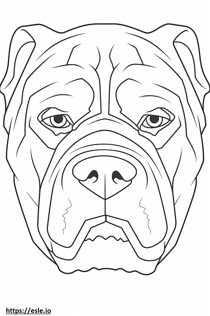 Angol bulldog arc szinező