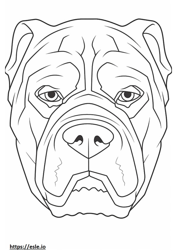 English Bulldog face coloring page