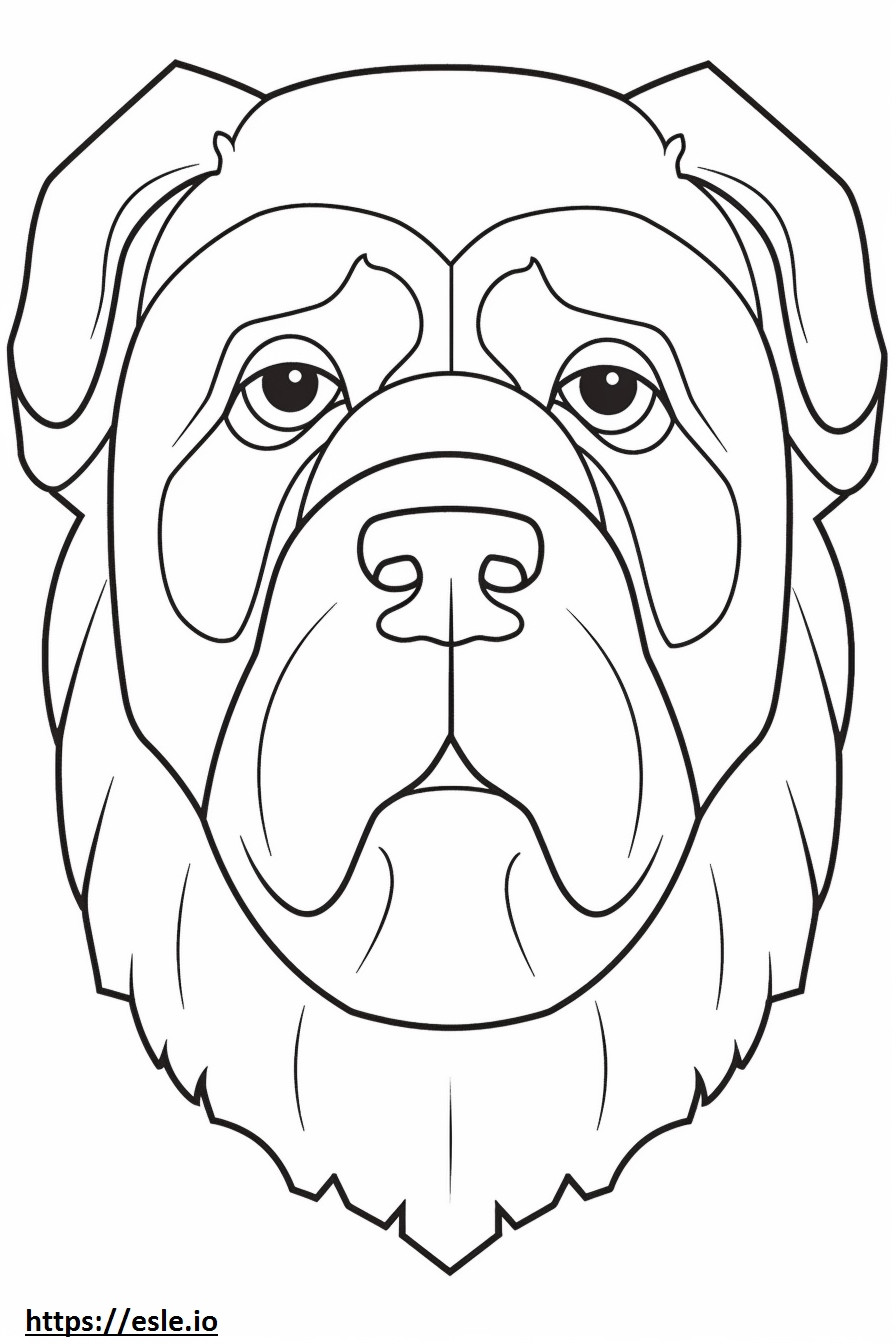 Engelse Bulldog-gezicht kleurplaat kleurplaat