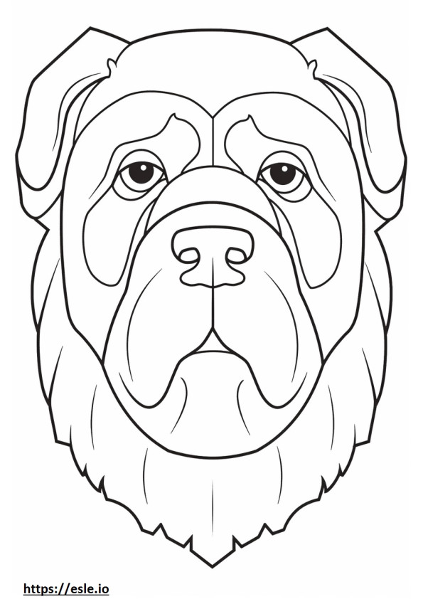 Cara de Bulldog Inglés para colorear e imprimir