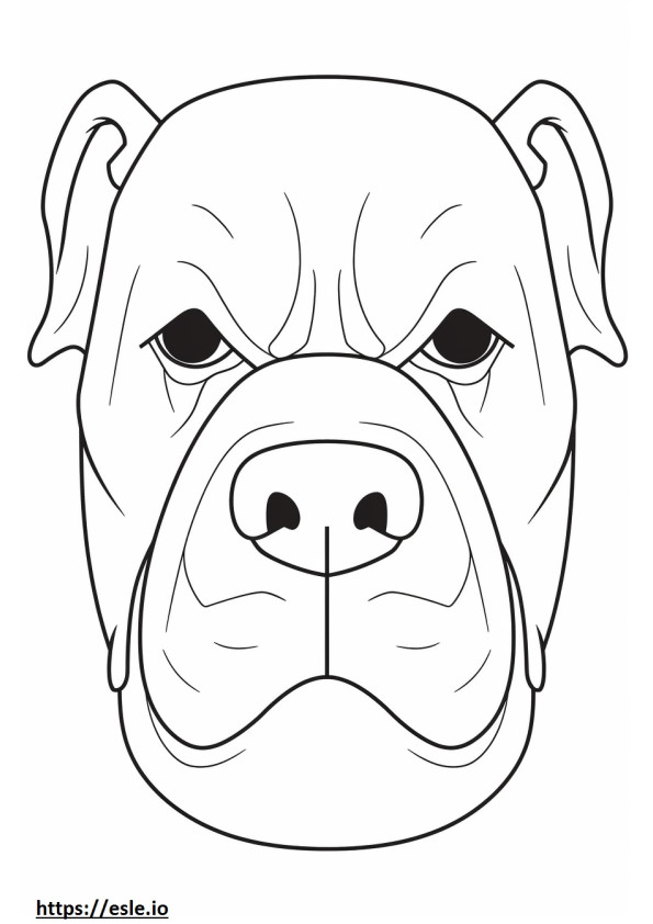 Cara de Bulldog Inglês para colorir