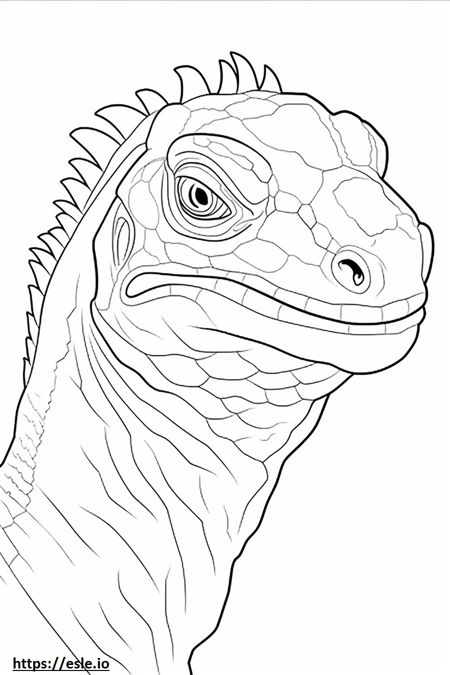 Blue Iguana face coloring page