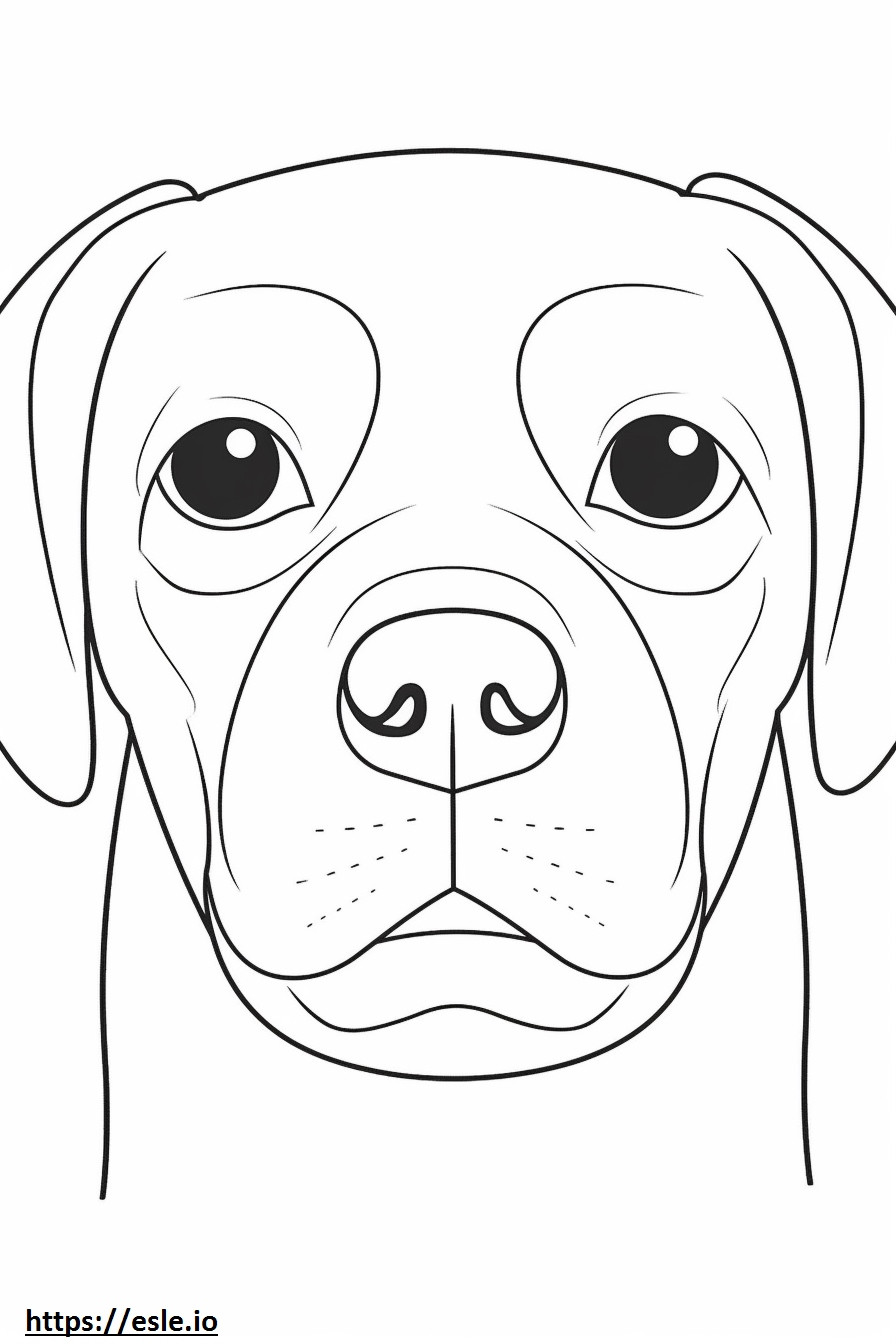 Puggle face coloring page