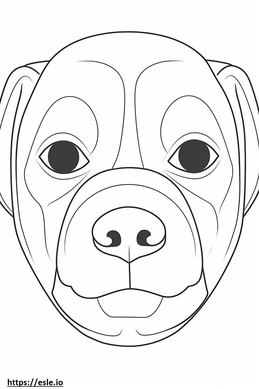 Puggle face coloring page