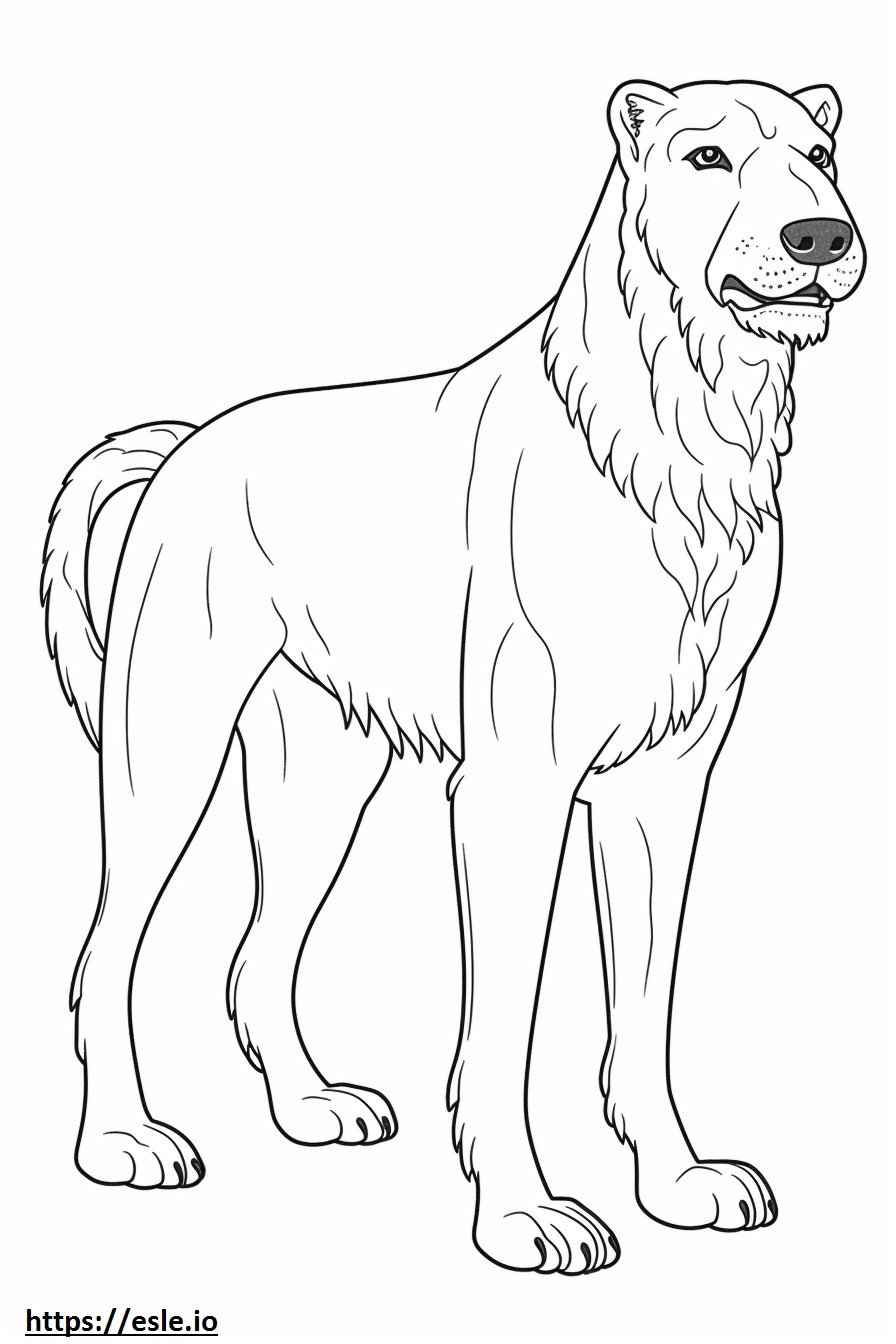Corpo intero del Wolfhound irlandese da colorare