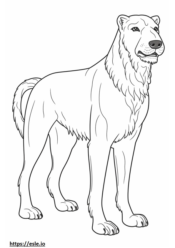 Irischer Wolfshund, ganzer Körper ausmalbild