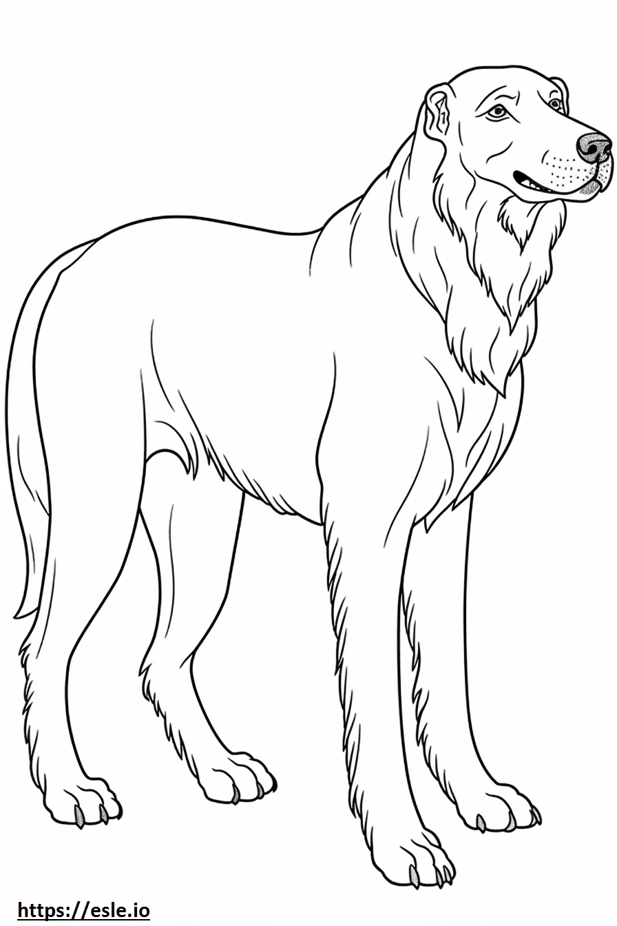 Irish WolfHound full body coloring page