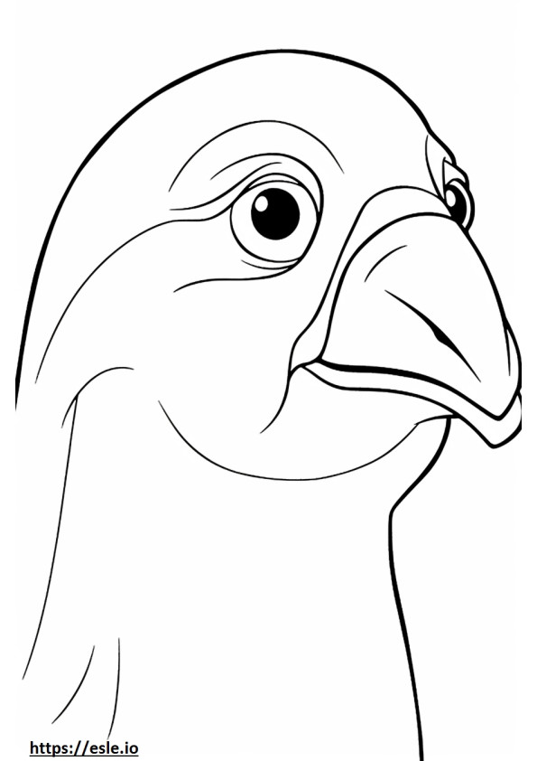 Giant Golden Mole face coloring page
