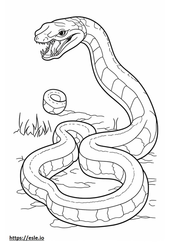 Coloriage Serpent d'eau marron corps entier à imprimer