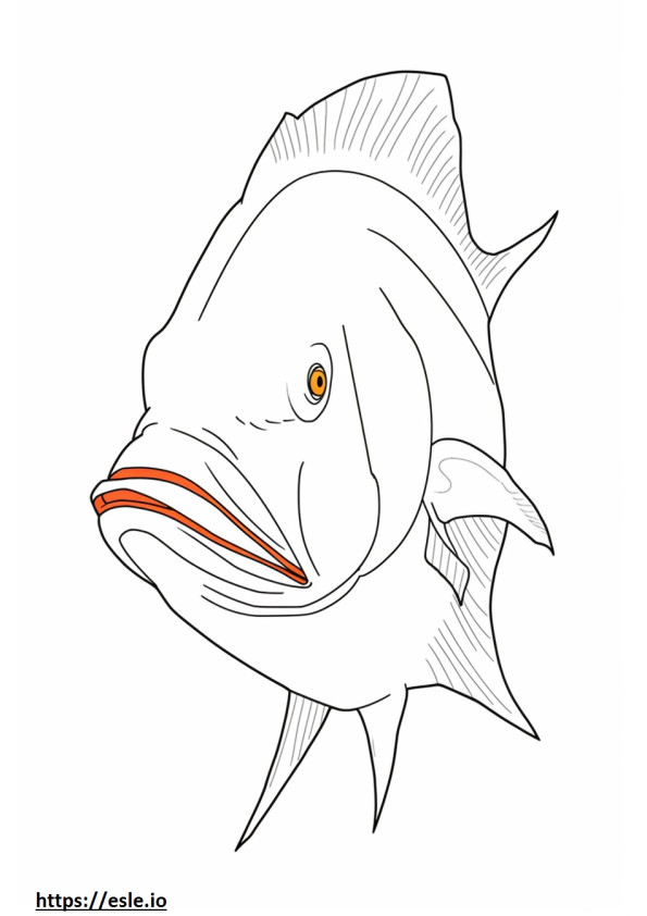 Yarasa balığı yüzü boyama