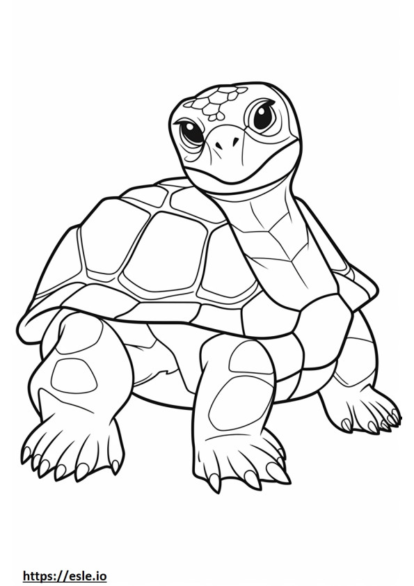 Schildkröte süß ausmalbild