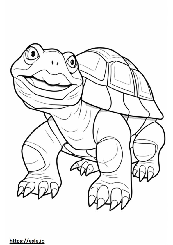 Tortoise cute coloring page