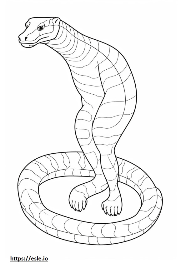 Serpiente tigre de cuerpo completo para colorear e imprimir