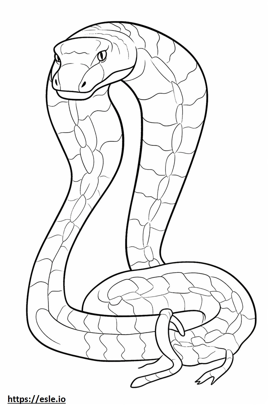 Kaplan yılanı tam vücut boyama