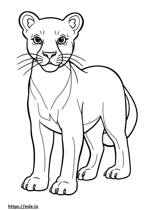 Puma coloring pages - free printable