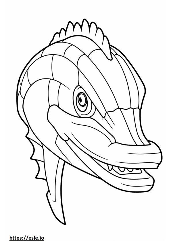 Ichthyosaurus kasvot värityskuva