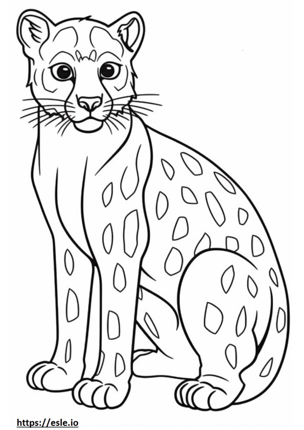 Margay tutto il corpo 0