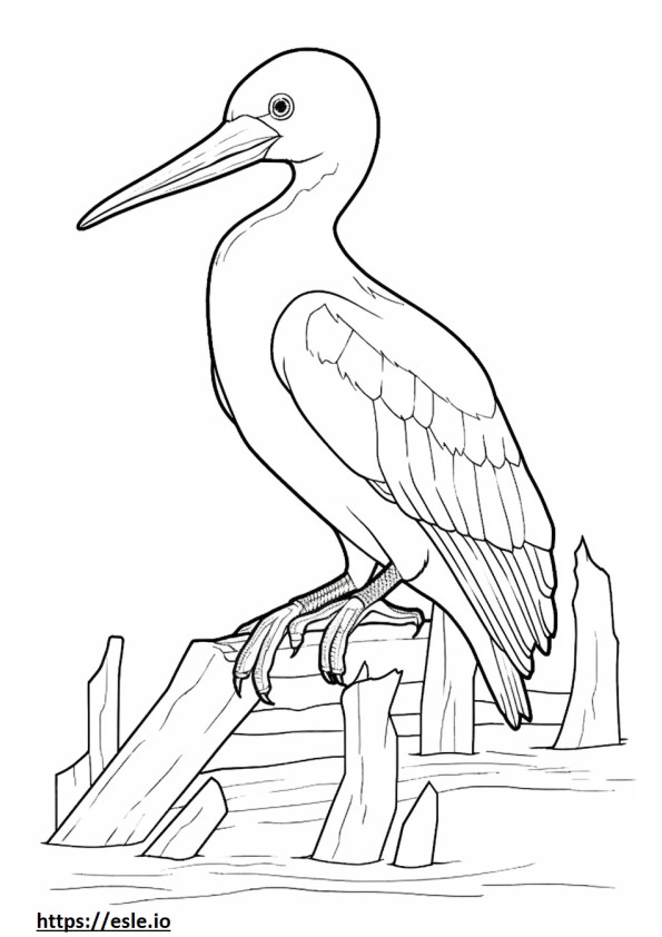 Ivory-billed woodpecker cute 0