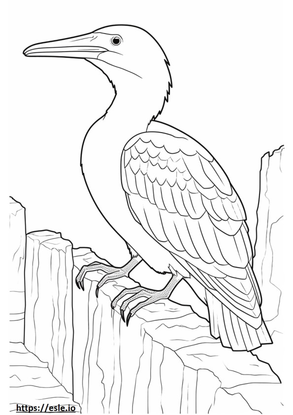 Ivory-billed woodpecker cute 1