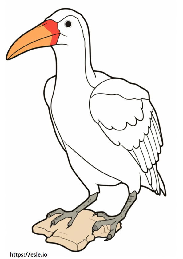 Ivory-billed woodpecker cute 3