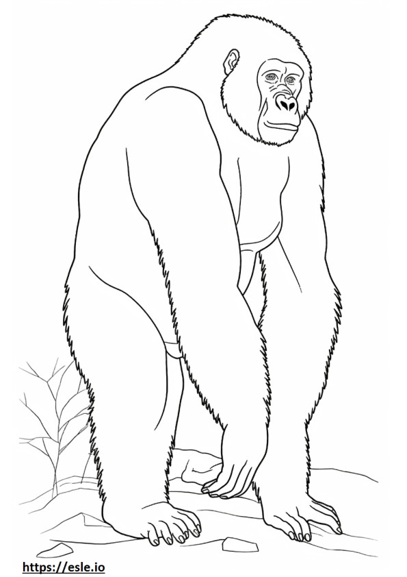 Gorila de montaña de cuerpo entero para colorear e imprimir