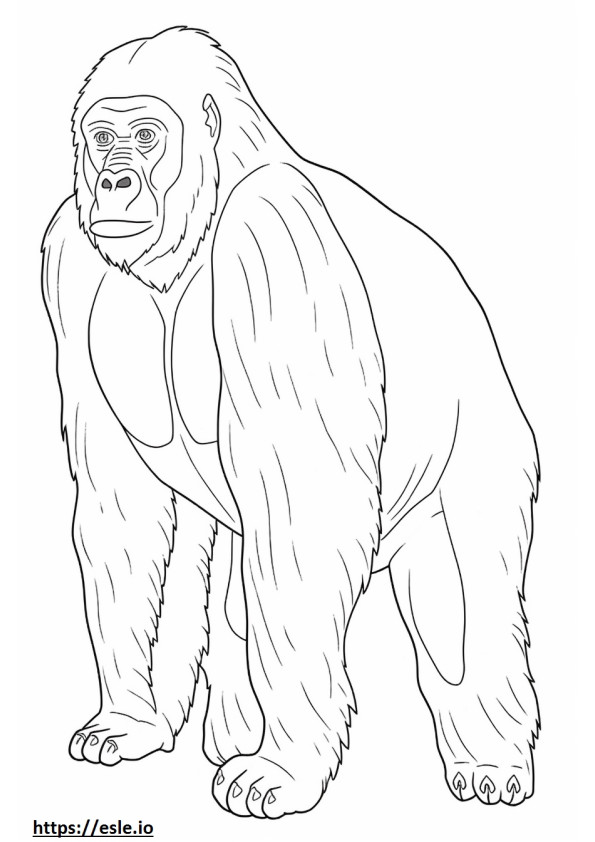 Gorila da montanha de corpo inteiro para colorir