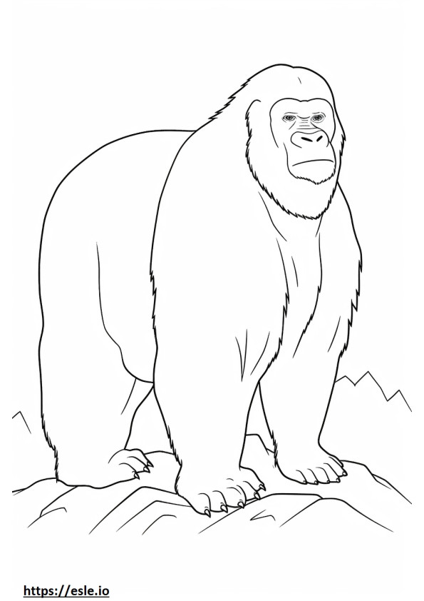Mountain Gorilla koko keho värityskuva