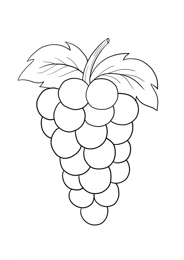 Hoja para colorear simple de frutas de uvas gratis para imprimir.