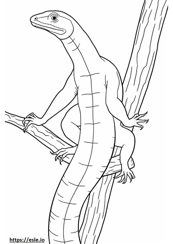 Emerald Tree Monitor full body coloring page