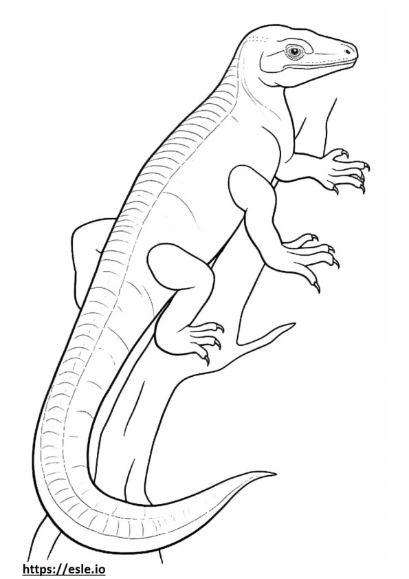 Emerald Tree Monitor full body coloring page