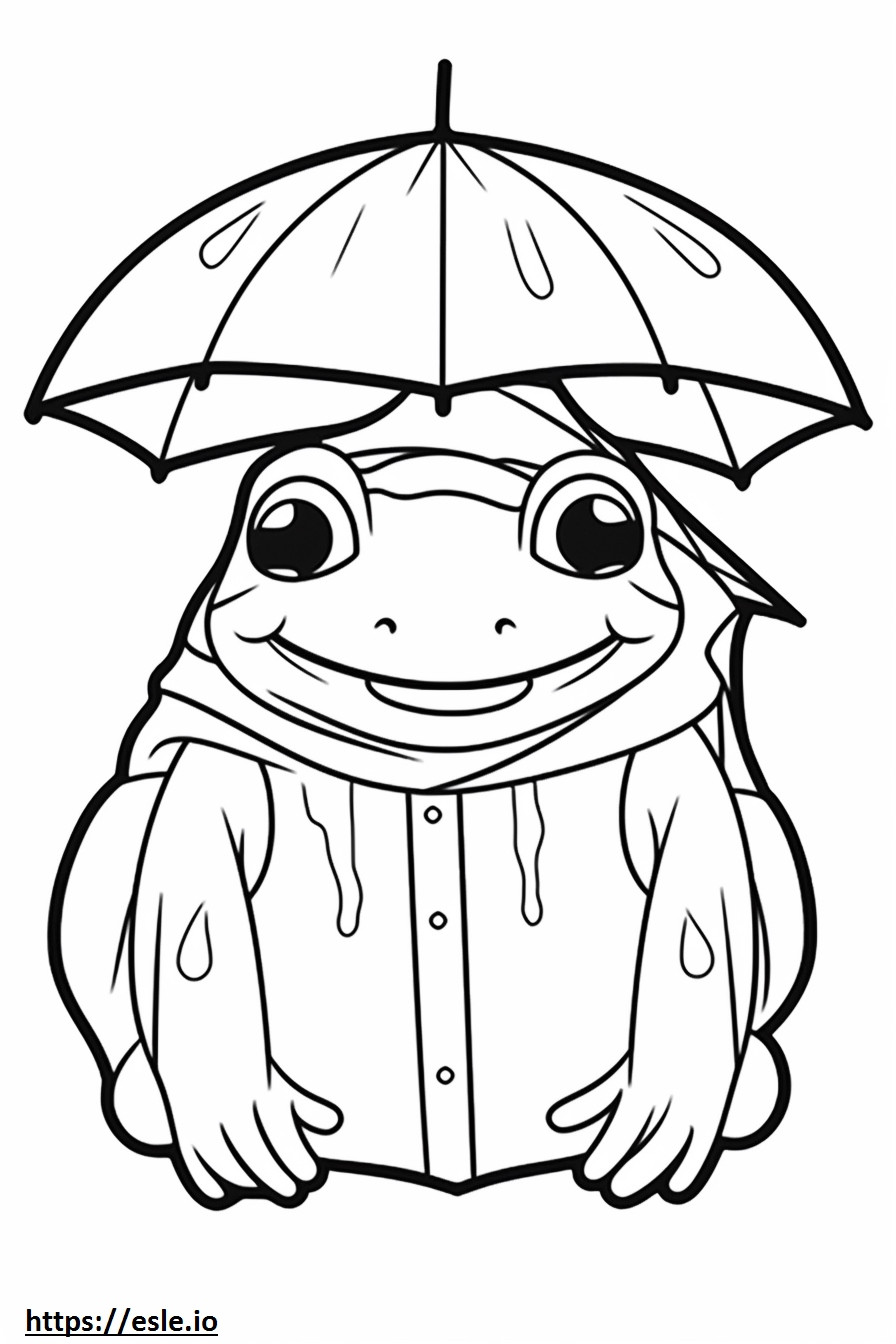 砂漠の雨蛙の顔 ぬりえ - 塗り絵
