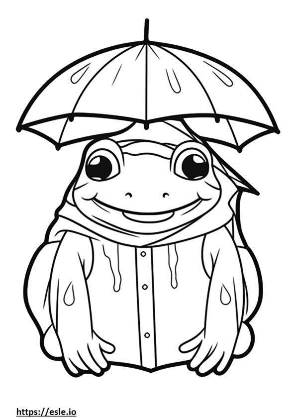 Desert Rain Frog kasvot värityskuva