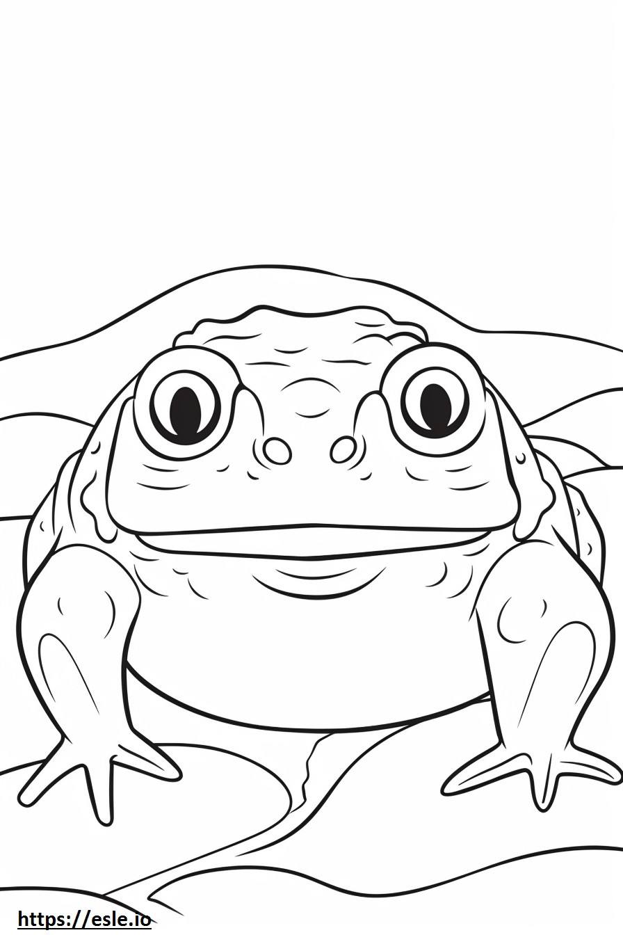 Desert Rain Frog face coloring page