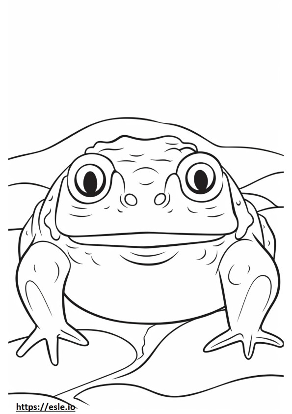 Desert Rain Frog kasvot värityskuva