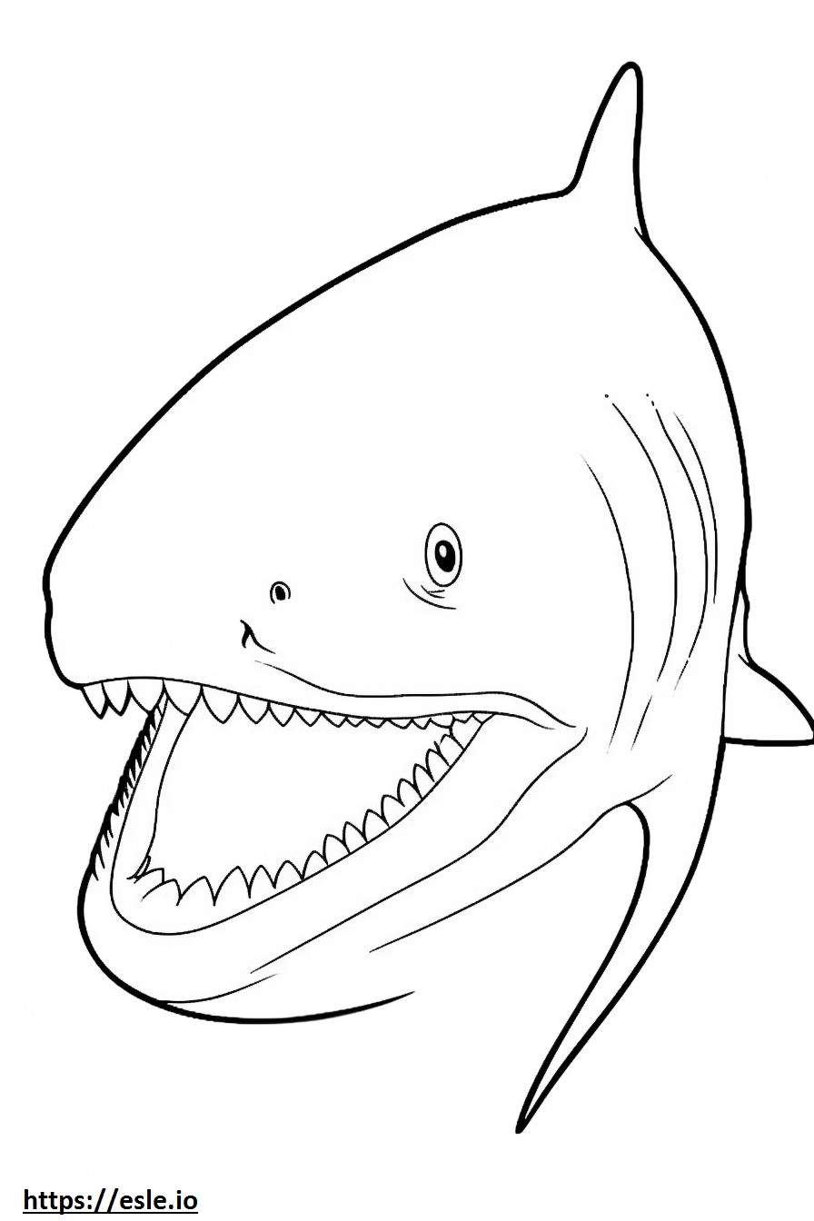ヨシキリザメの顔 ぬりえ - 塗り絵