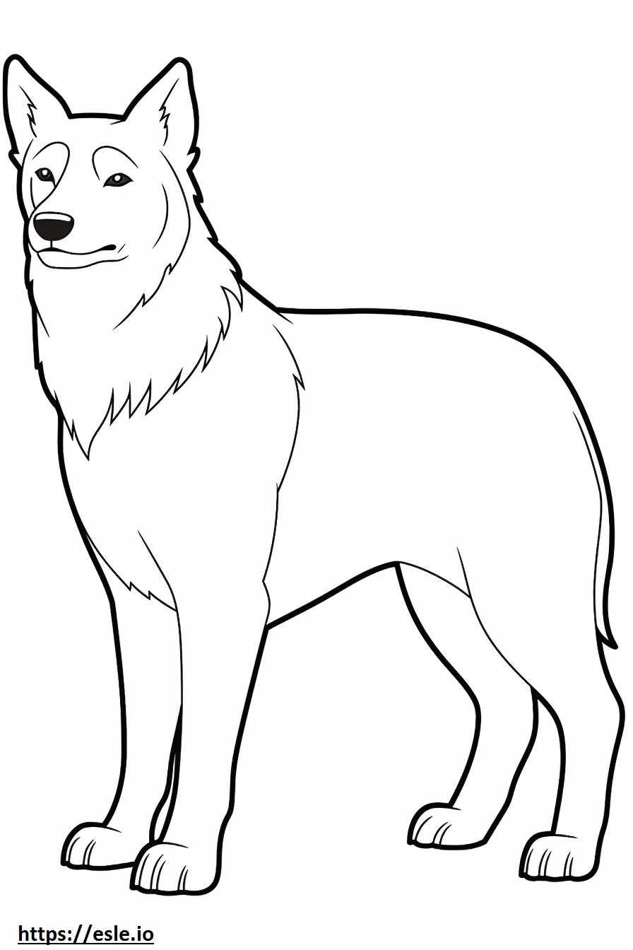 Norwegian Lundehund full body coloring page