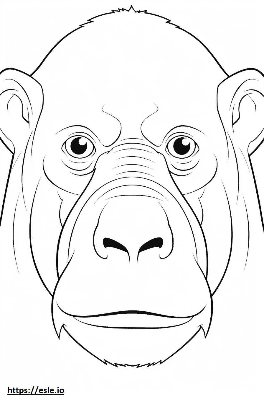 Olingo face coloring page