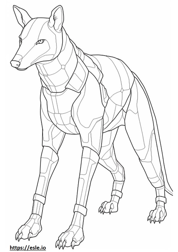 Gray Fox full body coloring page